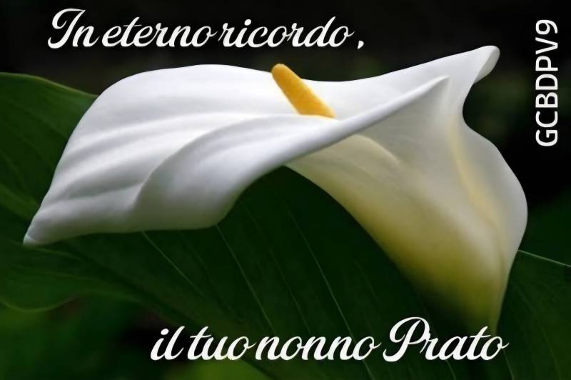 Neuer Termincache in Bremen: 1770162604-1768937325=1225279