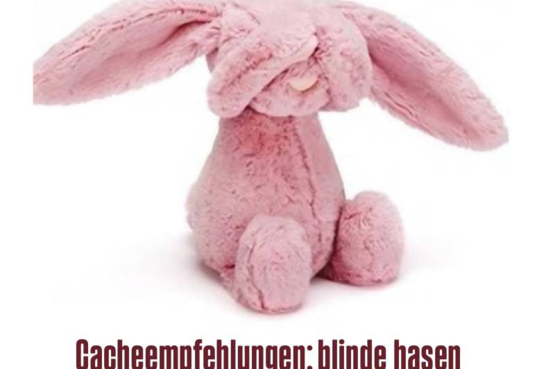 Cacheempfehlungen: blinde_hasen: 1746245990-1745409056=836934